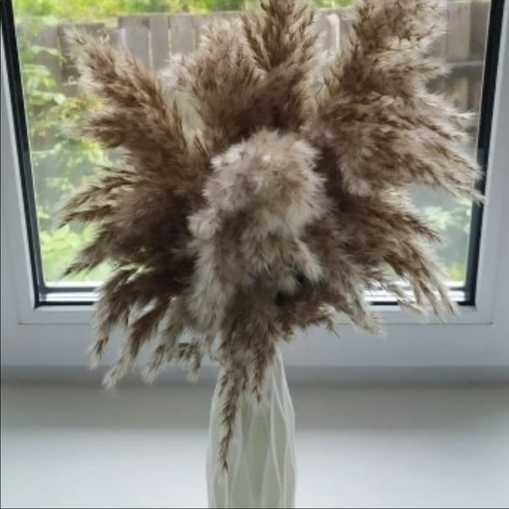 20 piece brown pampas grass